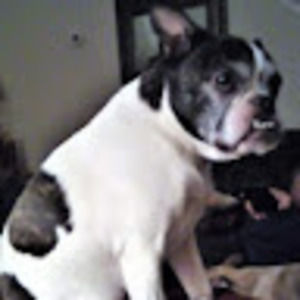 Meet your Posher, Mary